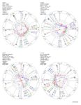 Jung, Rudhyar, Steiner, Sri Aurobindo charts