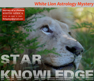 Star Knowledge-White Lion