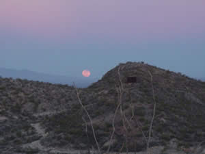 advancedchartintensive017_003